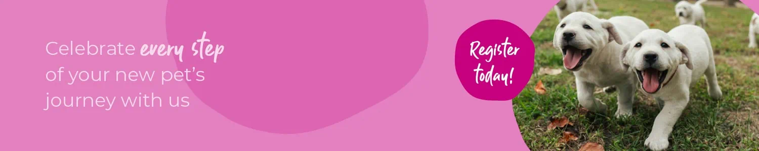 Start of Life for Your Puppy or Kitten