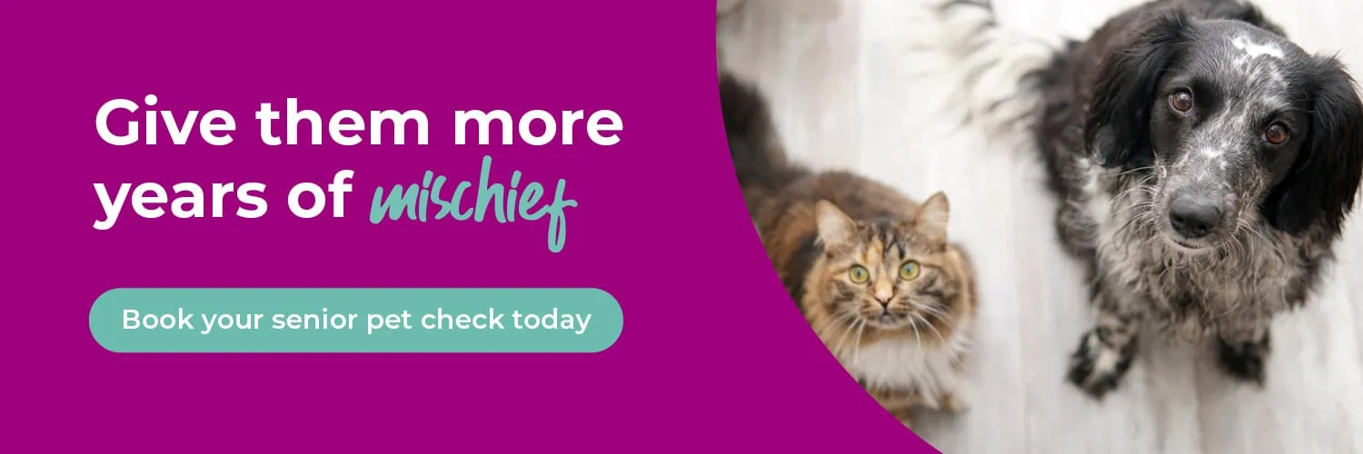 Broadway Vets in Wirral | Vets in Bebington | Vets in Wallasey