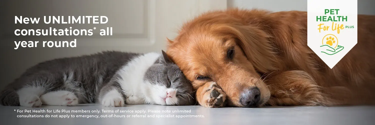 Broadway Vets Pet Health for Life - healthcare plan for your pet