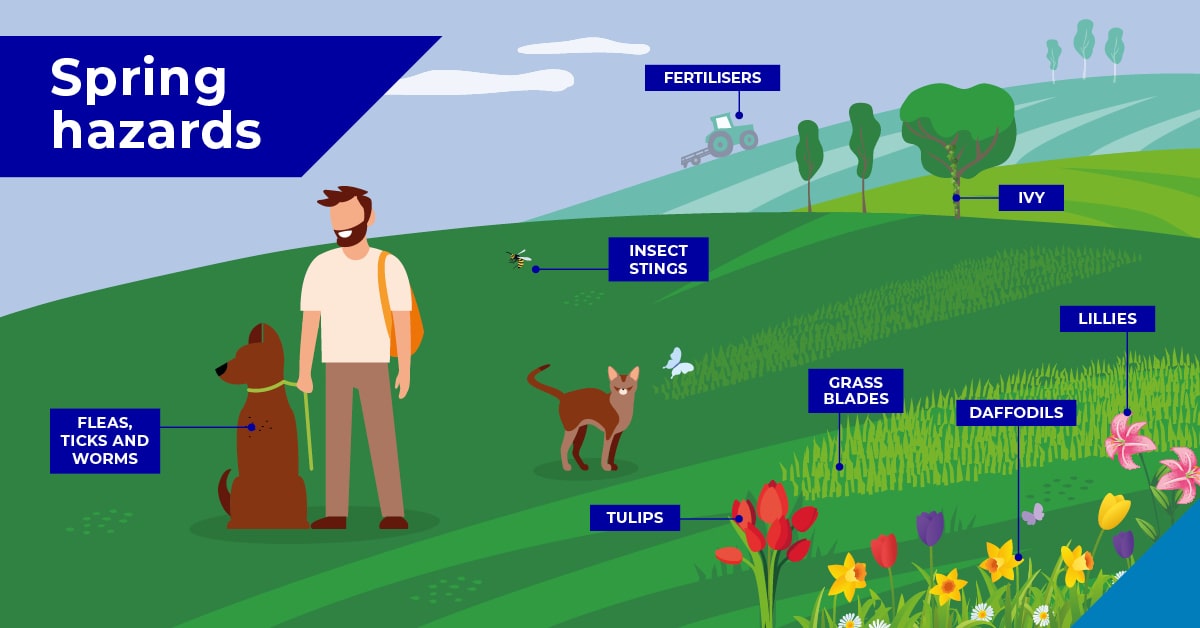 Spring hazards in Wirral