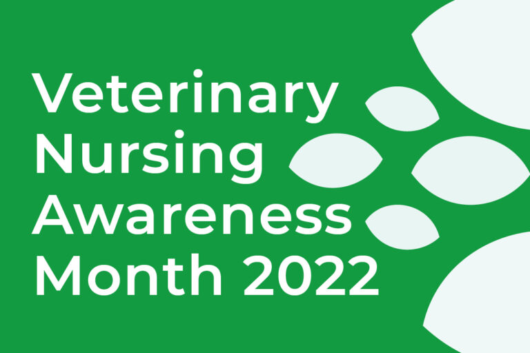 Veterinary Nursing Awareness Month at Broadway Vets