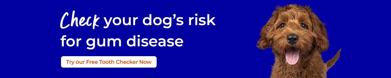 Dog Dental Care in Bebington, Heswall and Wallasey