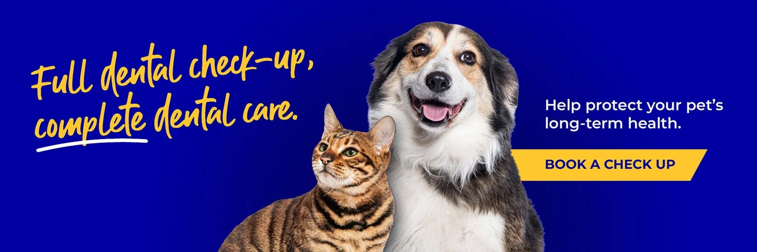 Broadway Vets in Wirral | Vets in Bebington | Vets in Wallasey