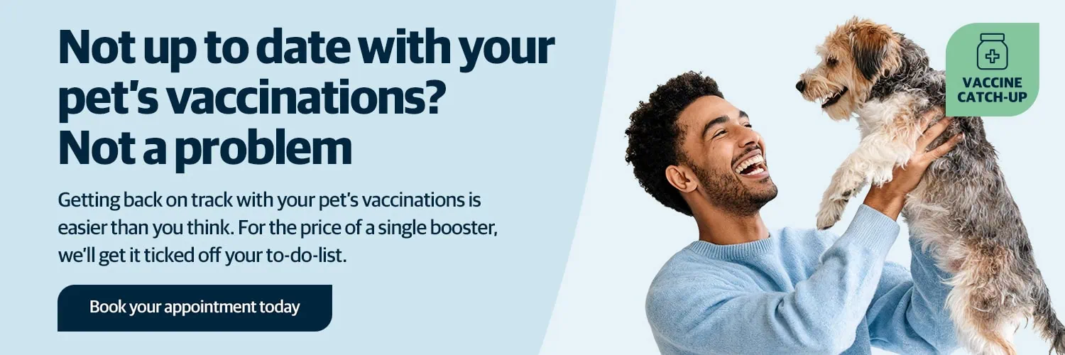 Broadway Vets in Wirral | Vets in Bebington | Vets in Wallasey