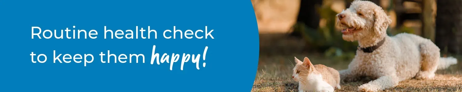 Pet Health Check in the Wirral | Preventative Vet Care