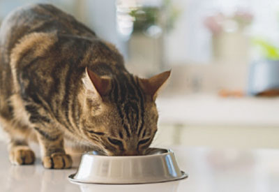 Important Information – Product Recall