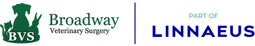 Broadway Vets Logo
